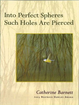 cover image of Into Perfect Spheres Such Holes Are Pierced